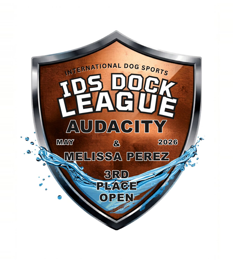 Audacity badge